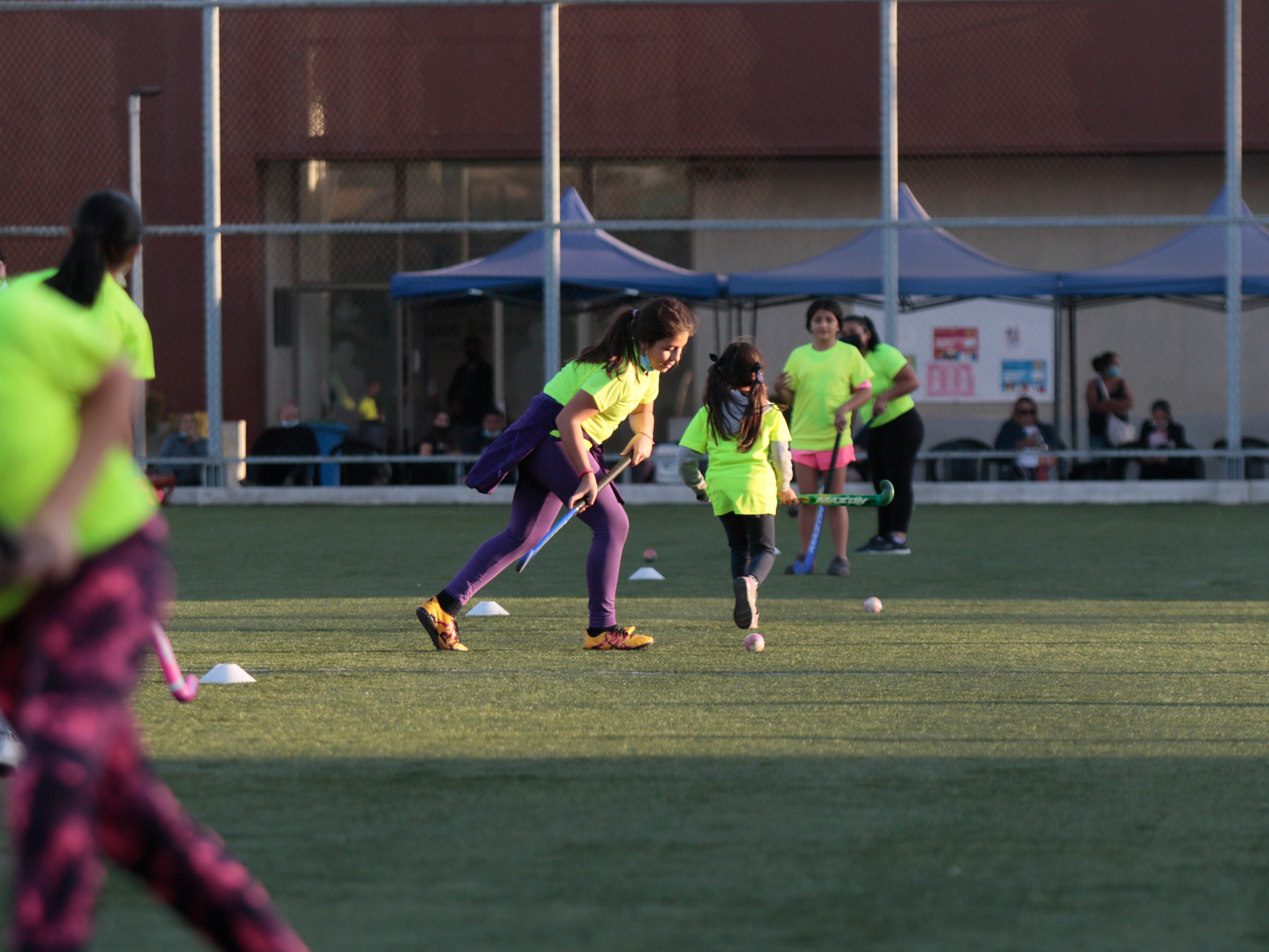 Values ​​on the field