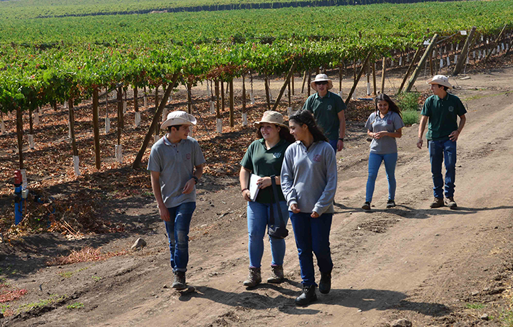 Instituto Agrícola Pascual Baburizza (IAPB)