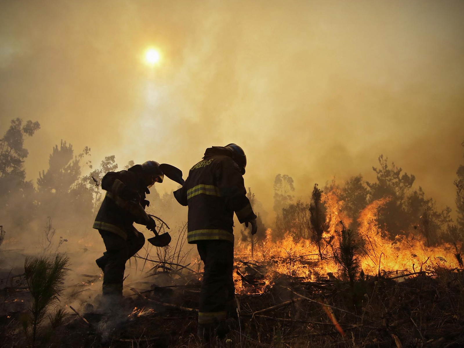 Cooperación para reconstruir